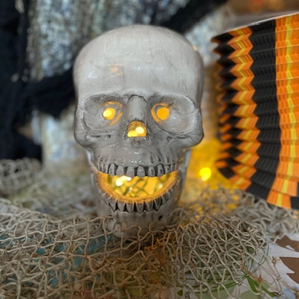Real Looking Ceramic Skull for Halloween